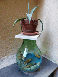 Vase and plant at an alley at Vernazza
