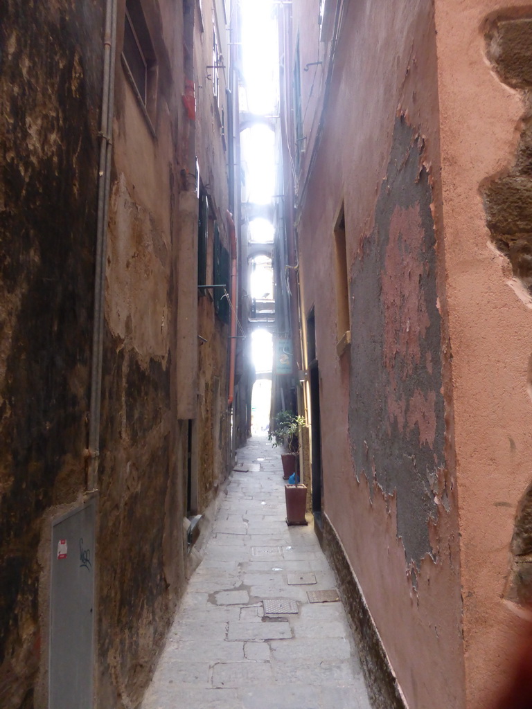 Alley at Vernazza