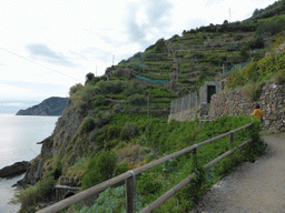 Miaomiao at the path from Vernazza to Monterosso al Mare