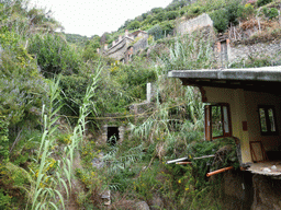 Broken house and trees at the path from Vernazza to Monterosso al Mare