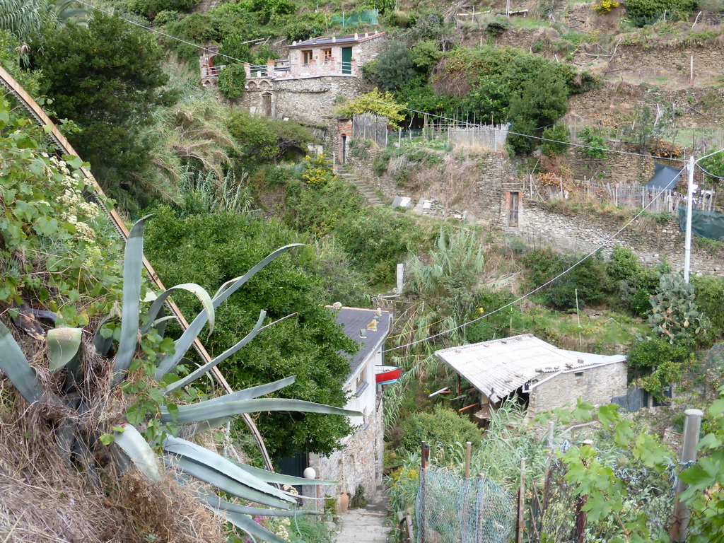 Houses and plants at the path from Vernazza to Monterosso al Mare