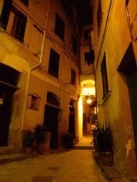 Alley at Vernazza, by night