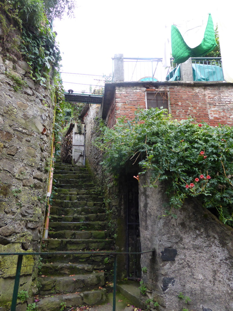 Street leading down from the Cemetery to Monterosso al Mare