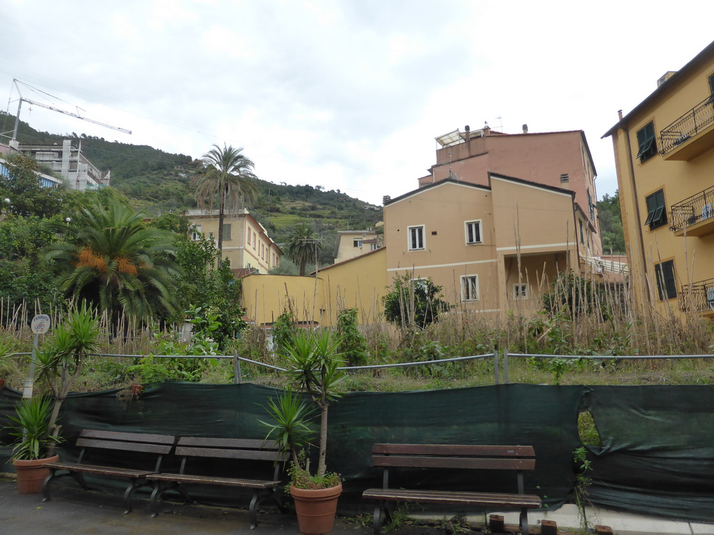 Wine garden at the Via Roma street at Monterosso al Mare