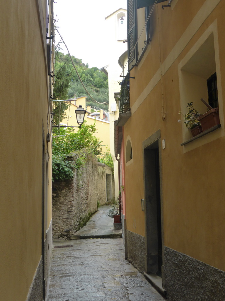 An alley in the town center of Monterosso al Mare