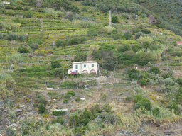 House on a hill near Vernazza, viewed from the ferry from Monterosso al Mare
