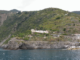 The Punta Bonfiglio hill near Manarola, viewed from the ferry from Vernazza