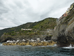 The Punta Bonfiglio hill and the harbour of Manarola, viewed from the ferry from Vernazza