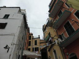 Houses at the east side of the harbour of Riomaggiore