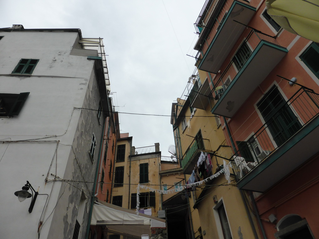 Houses at the east side of the harbour of Riomaggiore