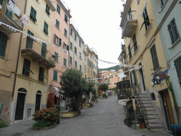 The Via Colombo street at Riomaggiore