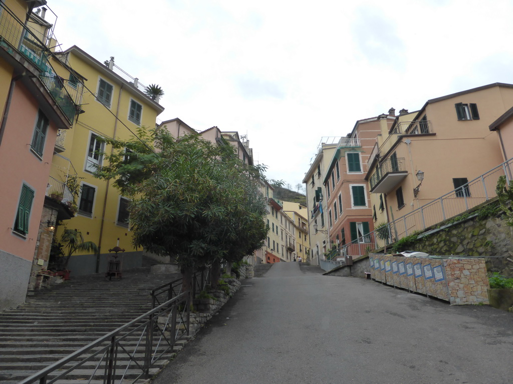 The Via Colombo street at Riomaggiore