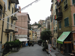 The Via Colombo street at Riomaggiore
