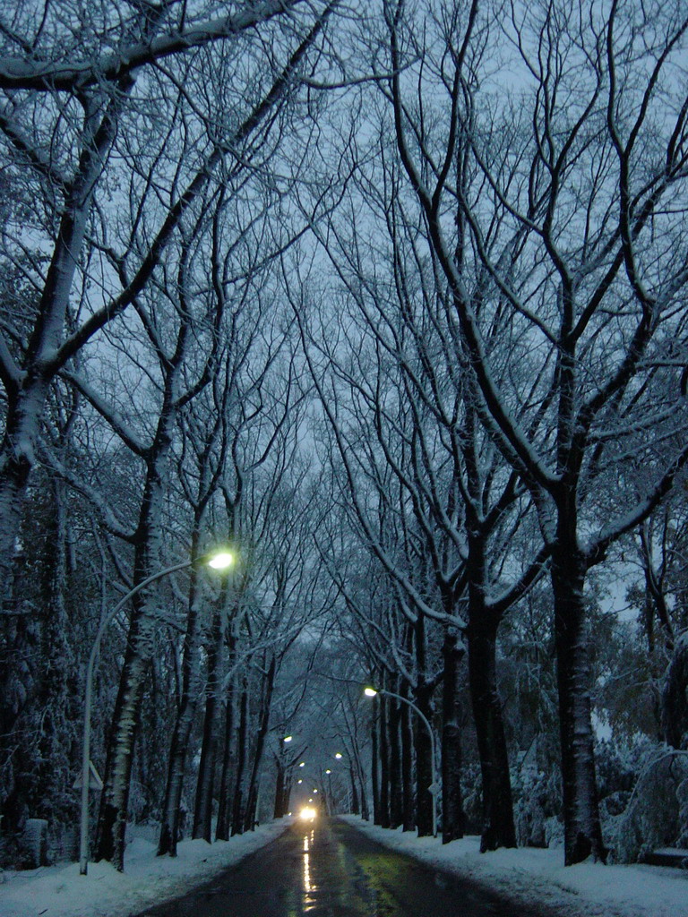 Snowy street in Nijmegen