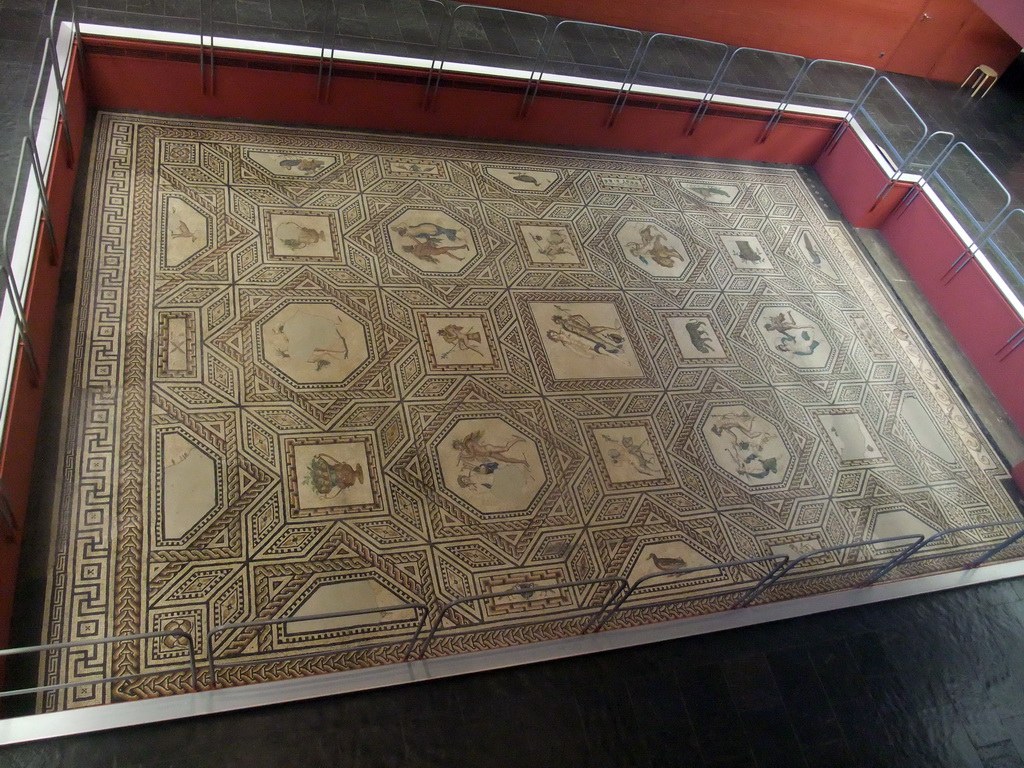 The Dionysus Mosaic at the lower floor of the Romano-Germanic Museum, viewed from above