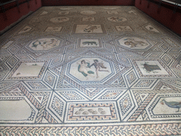 The Dionysus Mosaic at the lower floor of the Romano-Germanic Museum