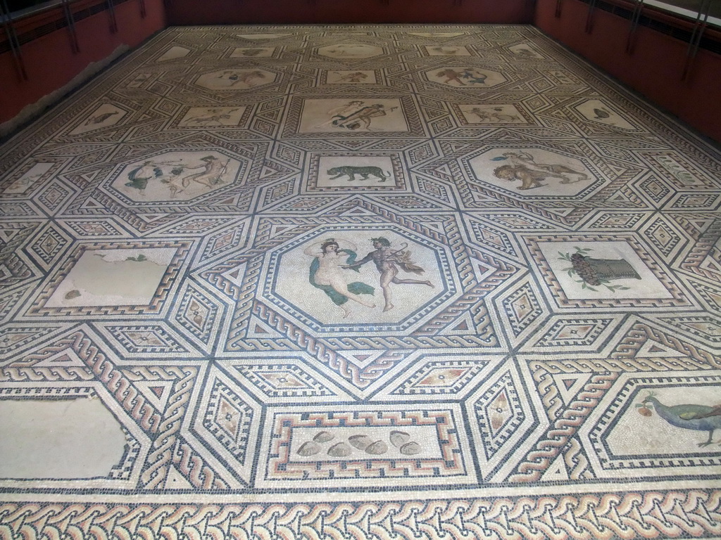 The Dionysus Mosaic at the lower floor of the Romano-Germanic Museum