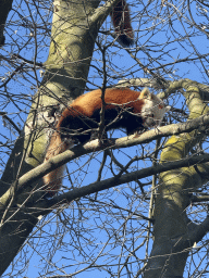 cologne_4_102 - 497 kb - 768x1024 -