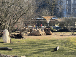 cologne_4_114 - 553 kb - 1024x768 -