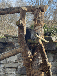 cologne_4_169 - 511 kb - 768x1024 -