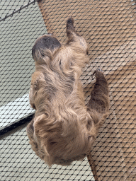 cologne_4_181 - 482 kb - 768x1024 -