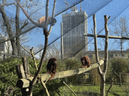 cologne_4_188 - 538 kb - 1024x768 -