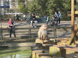 cologne_4_199 - 505 kb - 1024x768 -