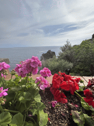 Flowers at the parking lot of Hotel Belvedere, with a view on the Torre Capo di Conca tower and the Tyrrhenian Sea