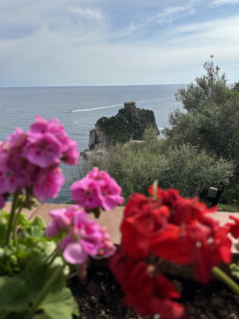 Flowers at the parking lot of Hotel Belvedere, with a view on the Torre Capo di Conca tower and the Tyrrhenian Sea