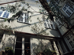 Trees at the Barock Restaurant at the Nyhavn harbour