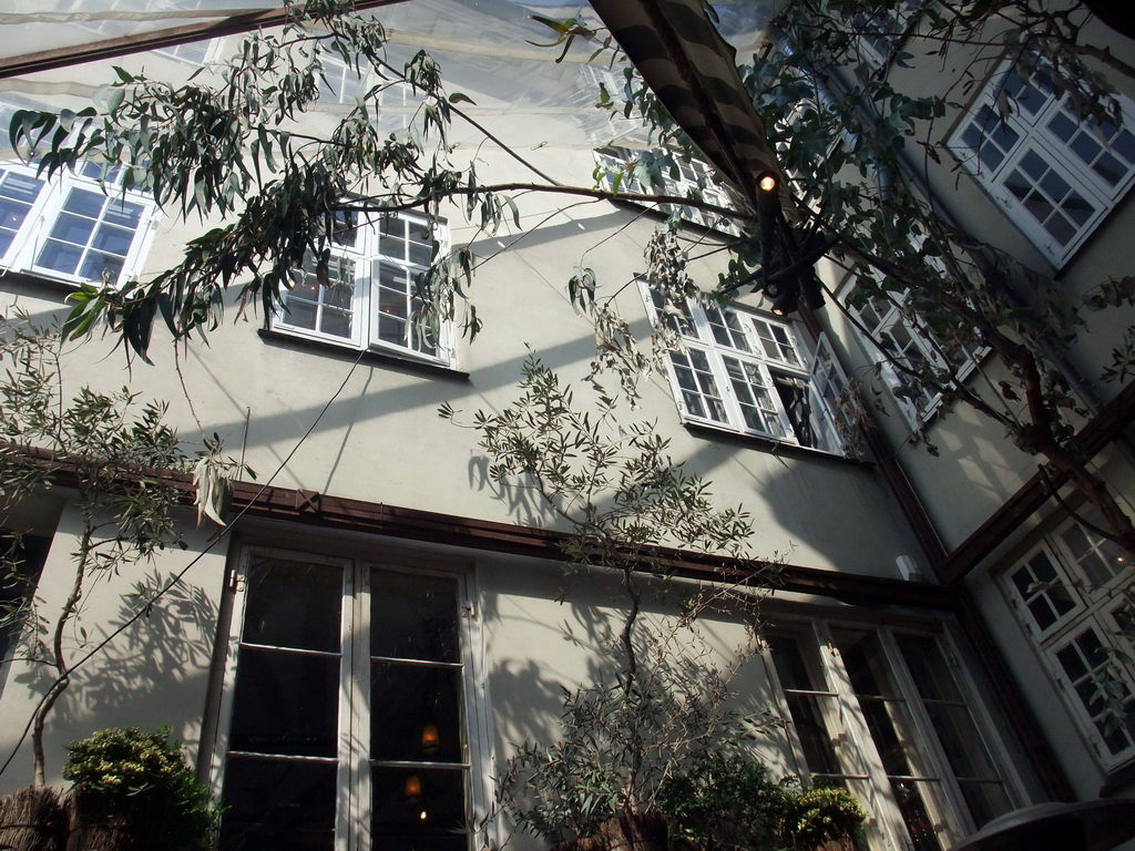 Trees at the Barock Restaurant at the Nyhavn harbour