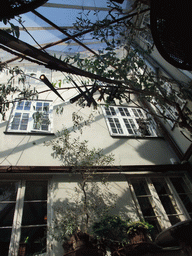 Trees at the Barock Restaurant at the Nyhavn harbour