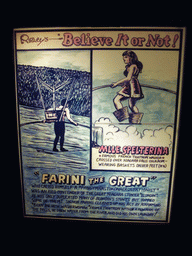 Poster on Niagara Falls crossers, in the Ripley`s Believe It or Not! Museum