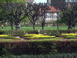 Miaomiao at the Rosenborg Castle Gardens