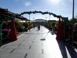 Miaomiao at the entrance path at the upper floor of the Siam Mall