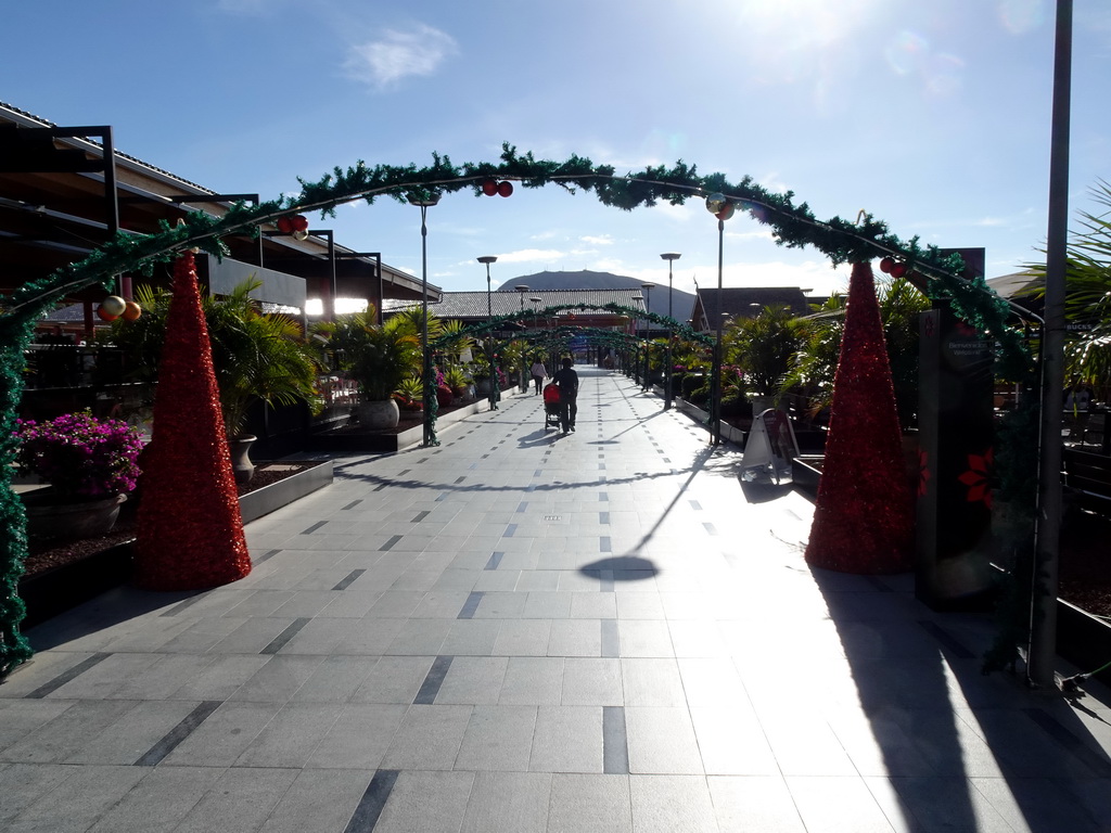 Miaomiao at the entrance path at the upper floor of the Siam Mall