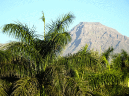 Trees and the Roque del Conde mountain, viewed from the swimming pool of the Beachfront Apartments in Costa Adeje