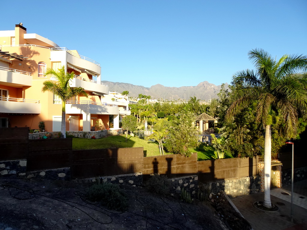 Apartment building, trees and mountains on the north side of town, viewed from the swimming pool of the Beachfront Apartments in Costa Adeje