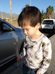 Max with a flower at the Avenida de los Acantilados street