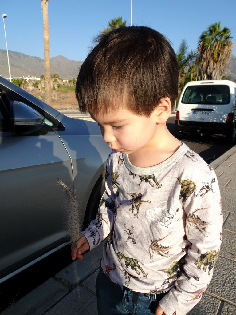 Max with a flower at the Avenida de los Acantilados street