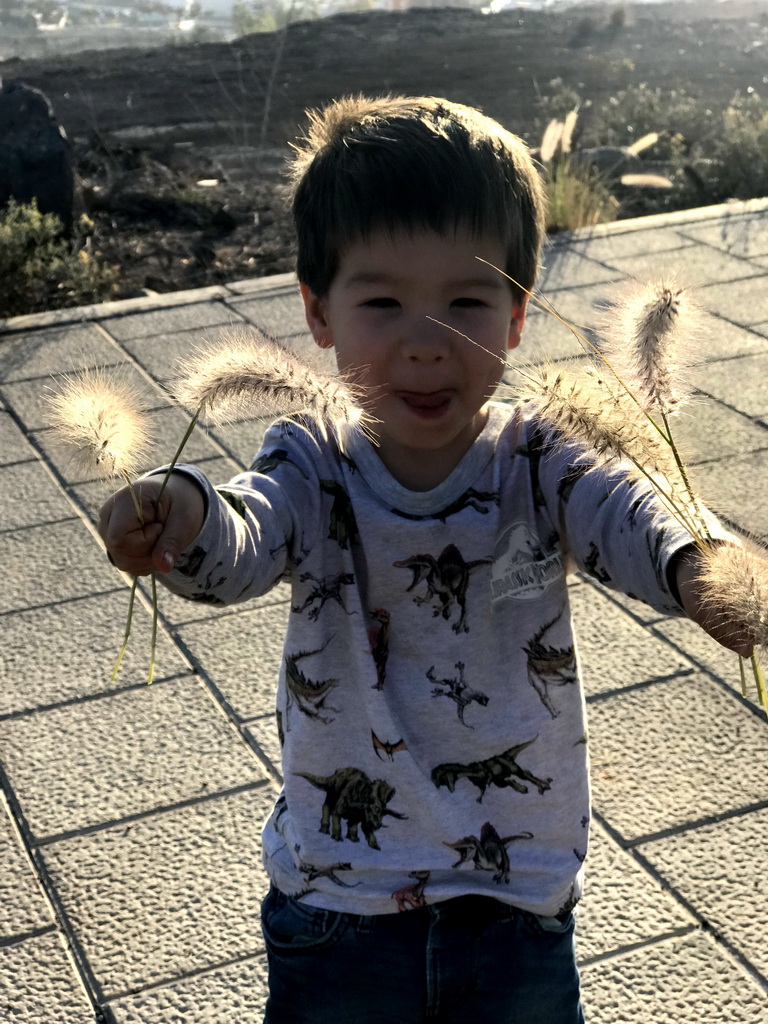 Max with flowers at the Avenida de los Acantilados street