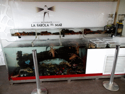 Lobsters and Crabs at the Restaurante La Farola del Mar