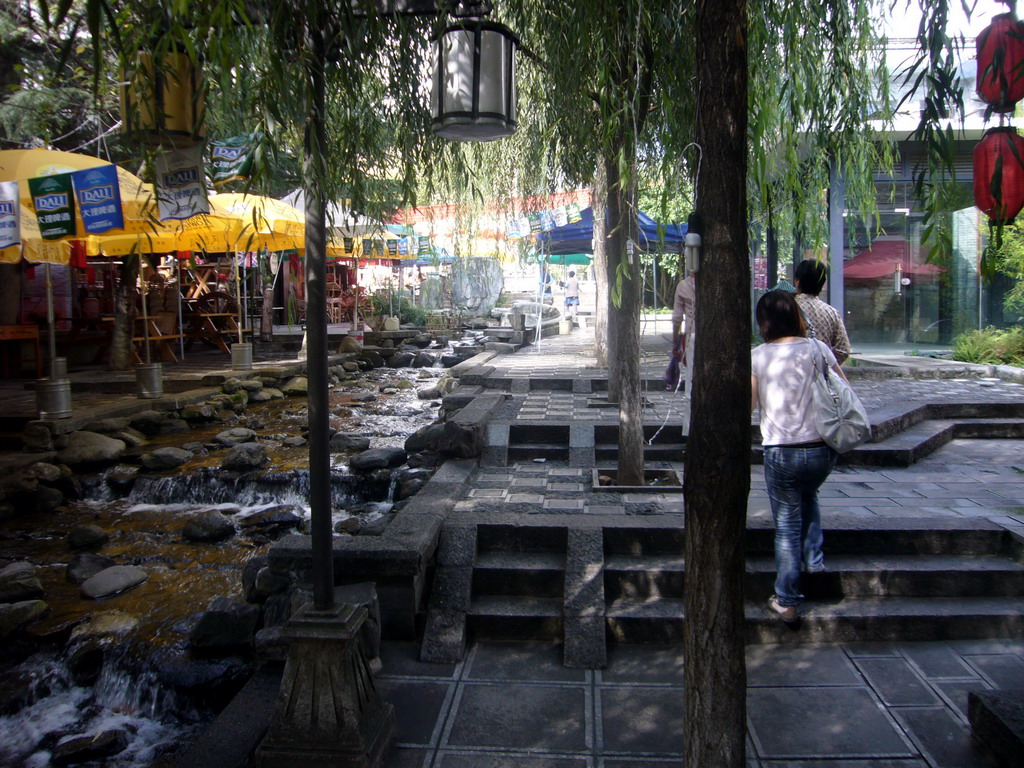 Miaomiao and Miaomiao`s mother in Foreigner`s Street in the Old Town of Dali