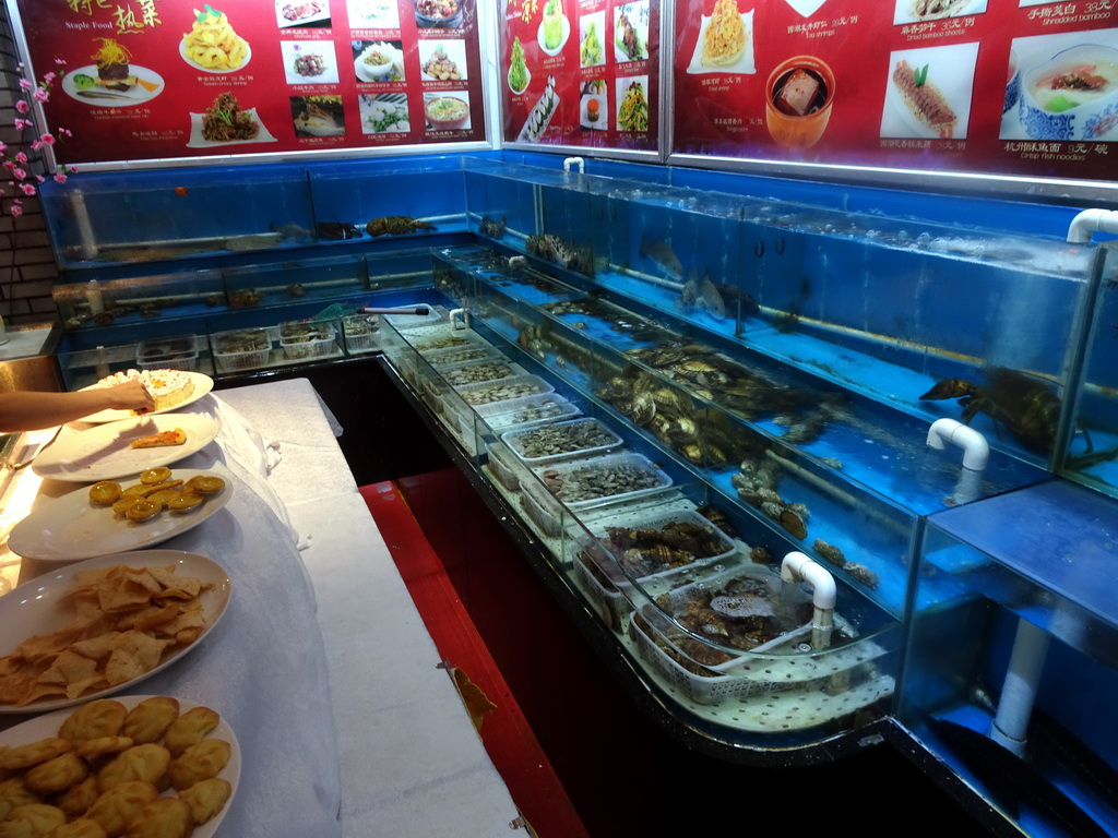 Lobsters and shellfish at the restaurant of the New Sea View International Hotel