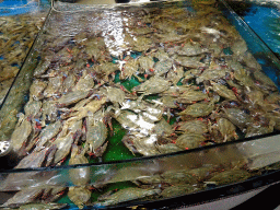 Crabs at the Xiaweiyi Seafood restaurant at Fushun Street