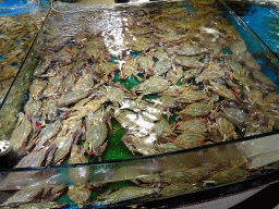 dalian_040 - 422 kb - 1024x768 - Crabs at the Xiaweiyi Seafood restaurant at Fushun Street Crabs at the Xiaweiyi Seafood restaurant at Fushun Street