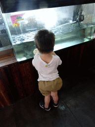 Max with fish at our lunch restaurant at Huanghai West Road