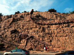 Rock with dinosaur skeletons at Binhai Road