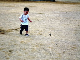Max following a bird at Haijingyuan beach