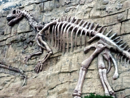 Rock with dinosaur skeleton at Binhai Road, at sunset
